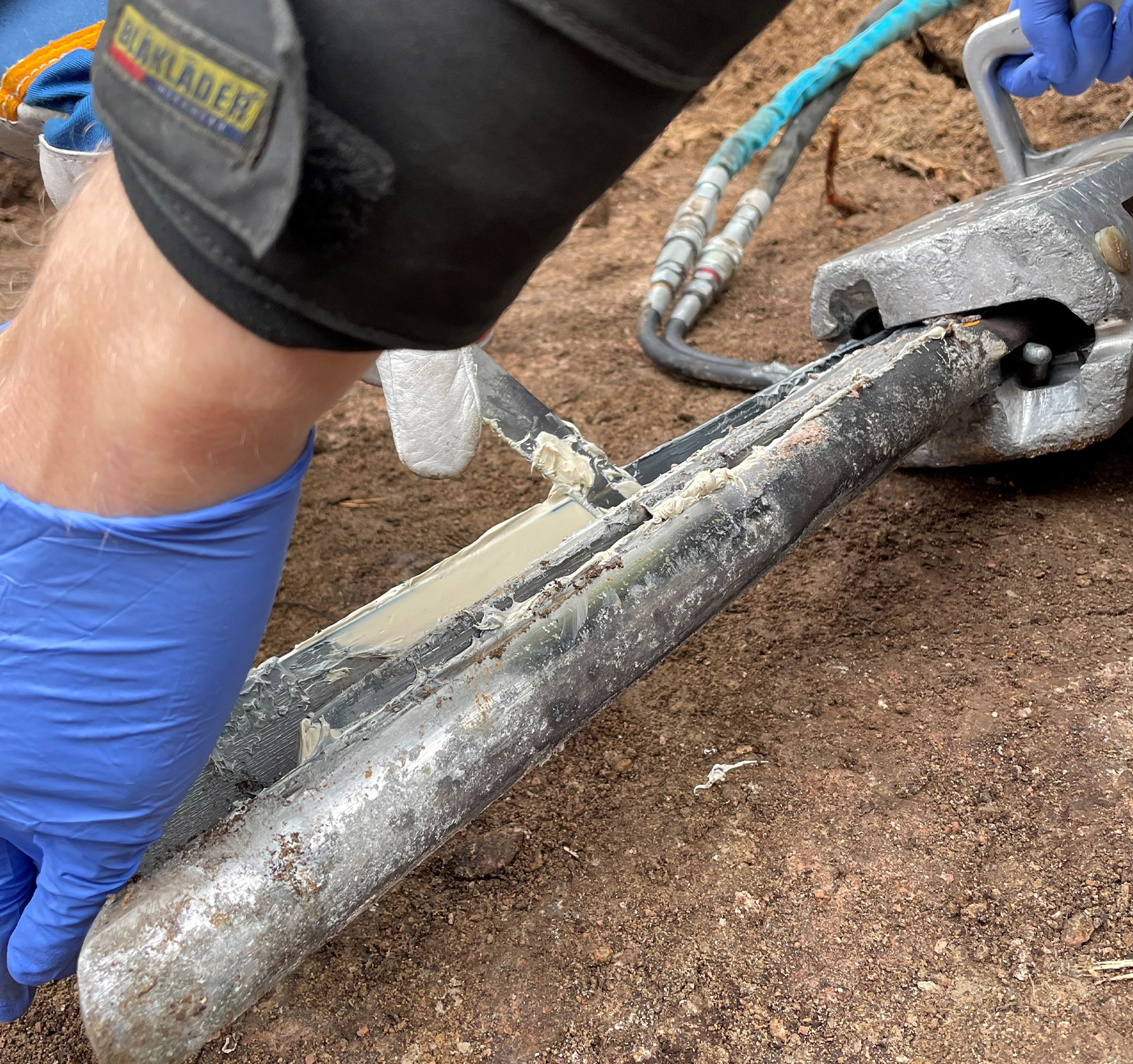 Darda fett - Bilde 3